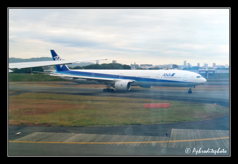 ANA - Boeing 777-300 (1)